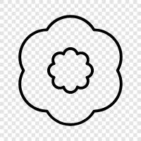 flowers, colors, petunias, garden icon svg