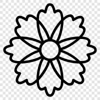 flowers, natural, garden, sun icon svg