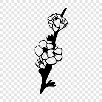 Blumen, Garten, Natur, Bäume symbol