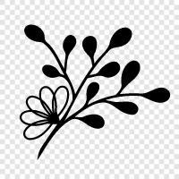 Blüten, Daisy, Biene, Tulpe symbol