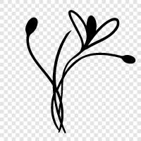 Blumen, Pflanzen, Sträucher, Bäume symbol