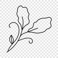 flowers, leaves, tree, shrub icon svg
