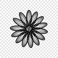 Blumen, Pflanzen, wachsen, blühen symbol