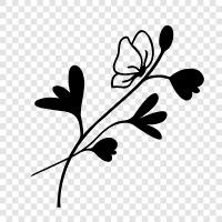 flowers, plants, gardening, landscaping icon svg