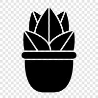 Flowers, Gardening, Vegetables, Plant icon svg