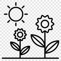 flowers, trees, springtime, sunshine icon svg