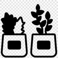 flowers, gardening, plants for sale, garden plants icon svg