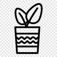 Flowers, Plant Life, Botany, Gardening icon svg