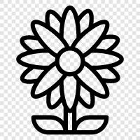 flowers, garden, botany, plants icon svg