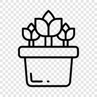 flowers, spring, garden, tulip bulbs icon svg