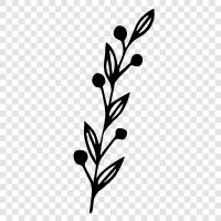 flowers, leaves, stem, growth icon svg