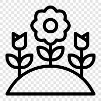 Flowers, Gardening, Houseplants, Vegetables icon svg