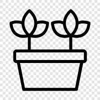 Flowers, Bloom, Garden, Planting icon svg