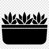 Flowers, Vegetables, Fruits, Botany icon svg