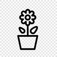 Flowers, Garden, Vegetables, Seeds icon svg