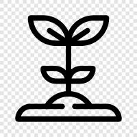 Flowers, Plant Species, Plant Images, Plant Picture icon svg