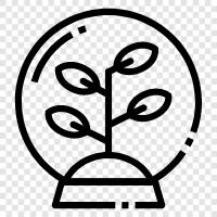 Flowers, Seeds, Tree, Vegetable icon svg