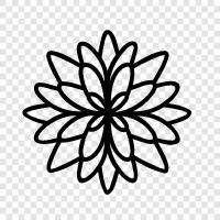 flowers, garden, plants, Hardy icon svg