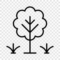 flowers, plants, gardening, landscaping icon svg