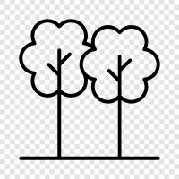 flowers, plants, trees, vegetables icon svg