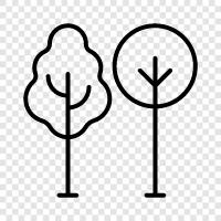 flowers, garden, plants, garden design icon svg