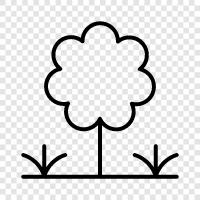 Flowers, Planting, Gardening, Plant Care icon svg