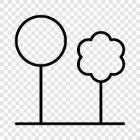 flowers, trees, nature photography, nature documentaries icon svg