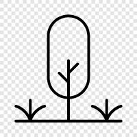 Flowers, Plants, Gardening, Landscaping icon svg