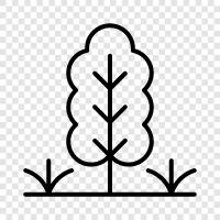 Flowers, Plants, Gardening, Fertilization icon svg