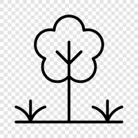 flowers, gardening, plants, vegetables icon svg