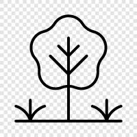 flowers, gardening, plants, vegetables icon svg