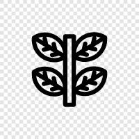 Flowers, Bloom, Foliage, Growth icon svg