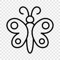 flutter, beauty, graceful, wings icon svg