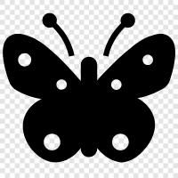 Flutter icon