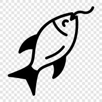 Fly Fishing, Fly Tying, Fishing Rods, Fishing Lures icon svg
