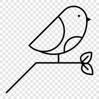 flying, birdhouse, backyard, pet icon svg