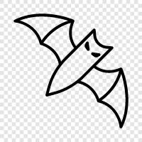 fliegen, tier, nacht, creature symbol