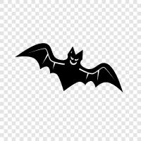 flying, mammal, nocturnal, Bat icon svg