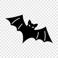 flying, mammals, nocturnal, Bat icon svg