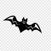 Flying, Mammal, Animal, Bat icon svg