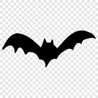 Flying, Mammal, Animal, Bat icon svg