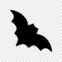 flying, mammals, nocturnal, Bat icon svg