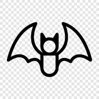 flying, mammals, nocturnal, Bat icon svg