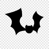 flying mammals, flight, bats, flying foxes icon svg