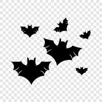 Flying, Animal, Mammal, Bat icon svg