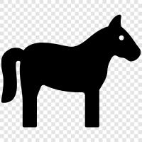 Foal, Stallion, Mare, Saddle icon svg