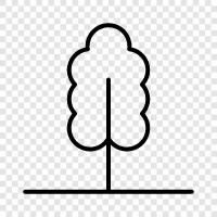 foliage, leaves, bark, branches icon svg