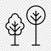 foliage, leaves, bark, branches icon svg