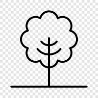 foliage, leaves, bark, branches icon svg