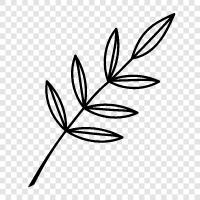 foliage, plant, growth, green icon svg